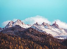 开云下载-德转预热西甲身价：安东尼确定上涨，四档可选最高4500万欧